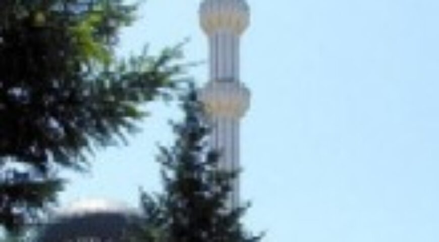 ΤΟ ΙΣΛΑΜ ΣΤΗΝ ΕΛΛΗΝΙΚΗ ΕΝΝΟΜΗ ΤΑΞΗ-(Μια ανοικτή πληγή)