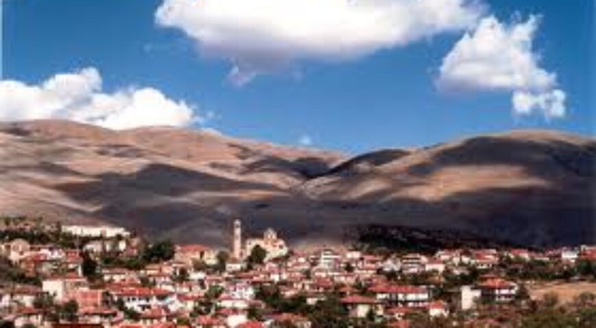 ΚΕΡΔΟΣΚΟΠΙΑ ΚΑΙ ΚΡΙΣΗ ΠΟΛΙΤΙΚΗΣ ΟΙΚΟΝΟΜΙΑΣ