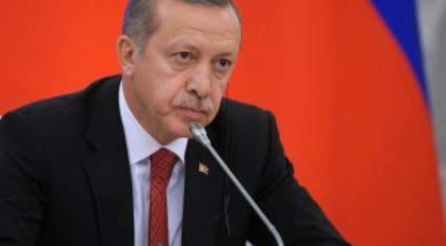 BESA-By Aykan Erdemir: The Limits of Erdoğan’s “Nation”