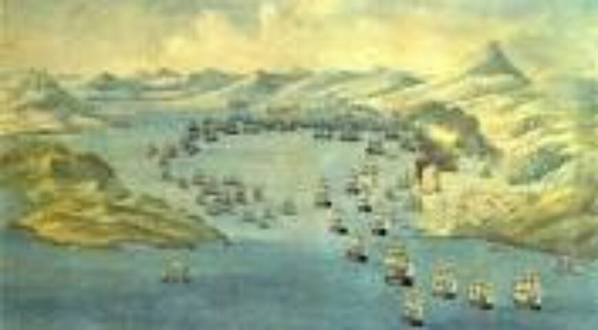 2014-10-23. Διάταξη Ναυαρίνου