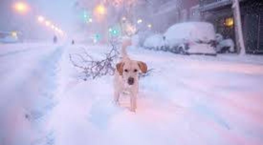 ΕΠΙΣΚΟΠΗΣΗ   ΕΛΛΗΝΙΚΩΝ ΚΑΙ ΔΙΕΘΝΩΝ ΕΞΕΛΙΞΕΩΝ   Νο. 2 – 13/02/2023) (06 Φεβ. – 12 Φεβ. 2023)