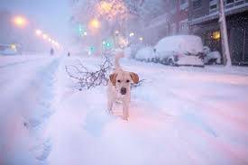 ΕΠΙΣΚΟΠΗΣΗ   ΕΛΛΗΝΙΚΩΝ ΚΑΙ ΔΙΕΘΝΩΝ ΕΞΕΛΙΞΕΩΝ   Νο. 2 – 13/02/2023) (06 Φεβ. – 12 Φεβ. 2023)