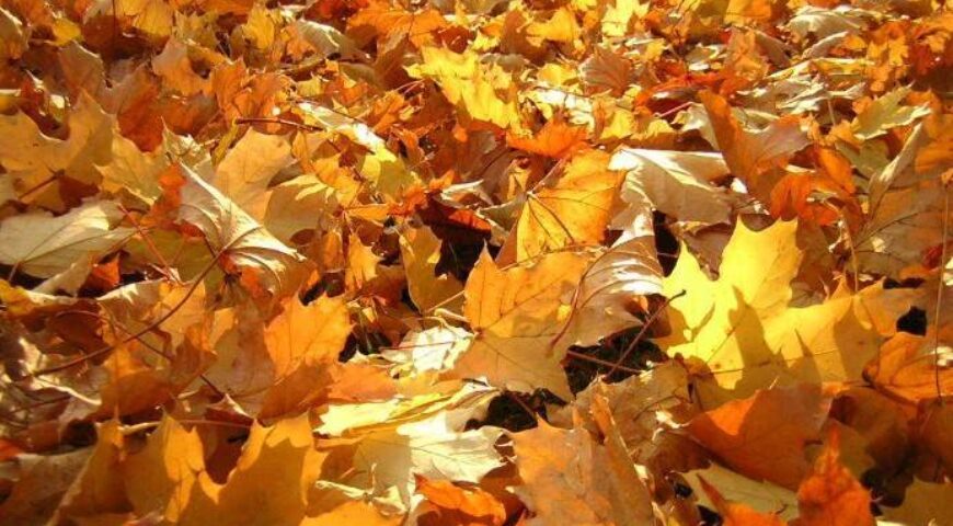 ΕΠΙΣΚΟΠΗΣΗ ΕΛΛΗΝΙΚΩΝ ΚΑΙ ΔΙΕΘΝΩΝ ΕΞΕΛΙΞΕΩΝ Νο. 29 (04/09/2023) (28 Αυγούστου – 03 Σεπτεμβρίου 2023)