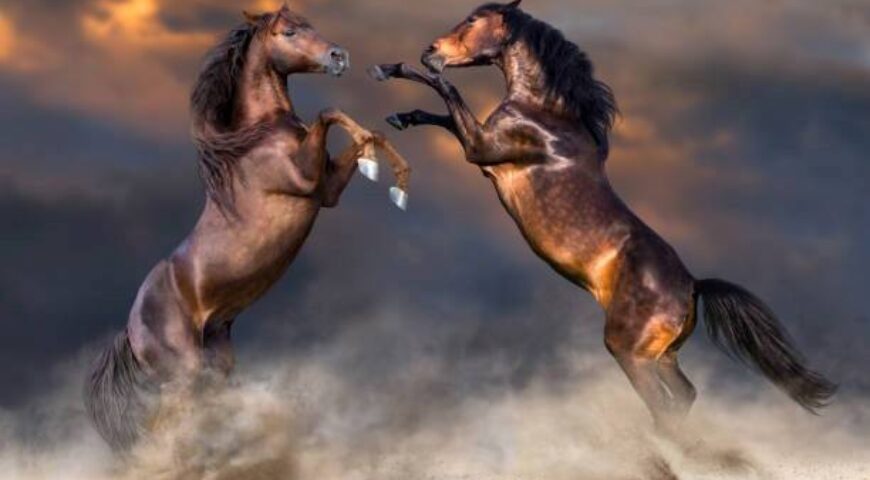 5 ΒΗΜΑΤΑ ΚΑΙΝΟΤΟΜΙΑΣ ΠΡΟΣ ΤΟ 3ο ΣΥΝΕΔΡΙΟ