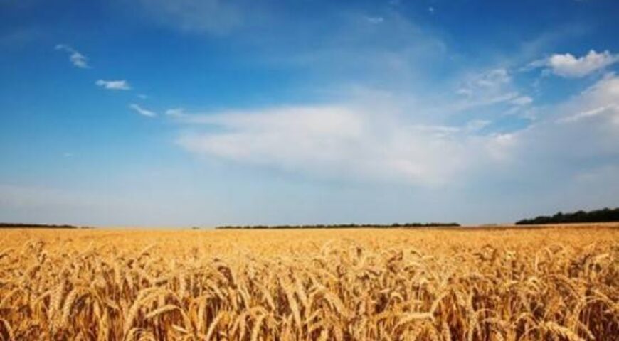 ΟΥΚΡΑΝΙΑ. Πούλησε τη γη της στη Δύση για να χρηματοδοτήσει τον πόλεμο!